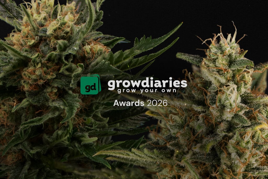 Royal Queen Seeds gana 4 premios en los GrowDiaries Awards 2026