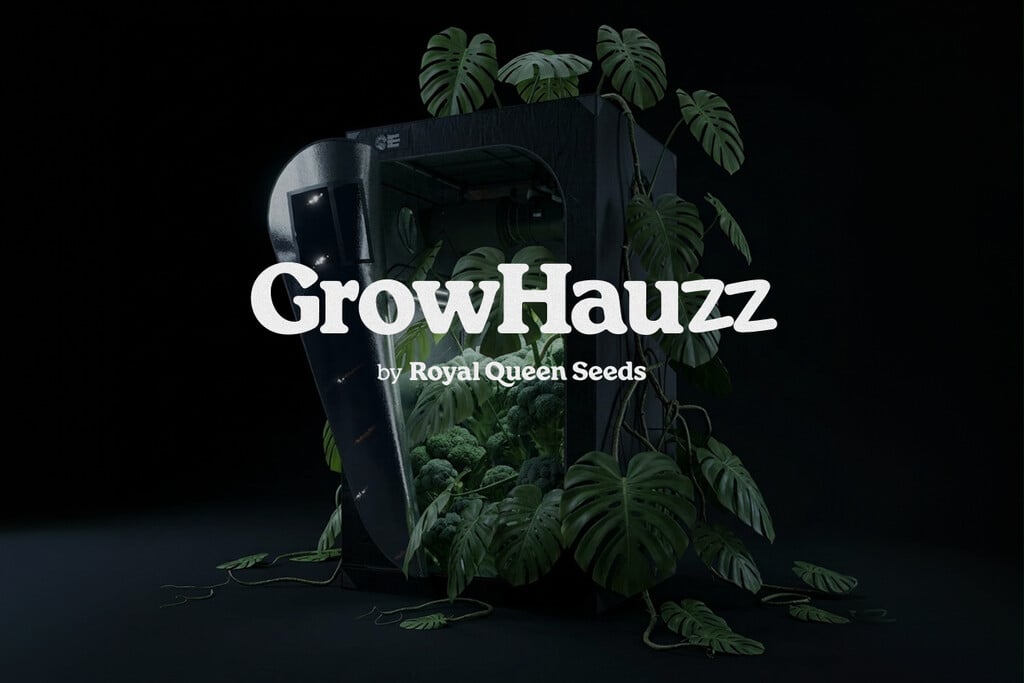 RQS está creciendo: Presentamos GrowHauzz