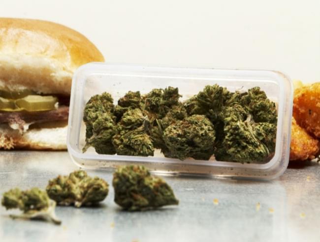 Estudio Científico: Los Consumidores Habituales de Marihuana Son Menos Propensos A La Obesidad