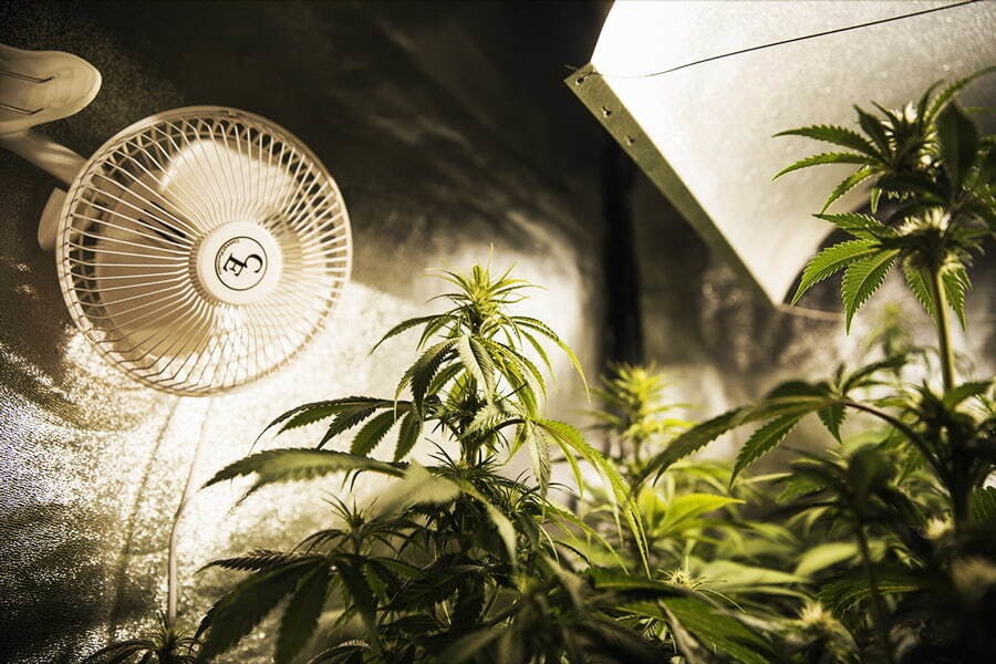 Cómo Reducir el Consumo de Energía Cuando se Cultiva Marihuana