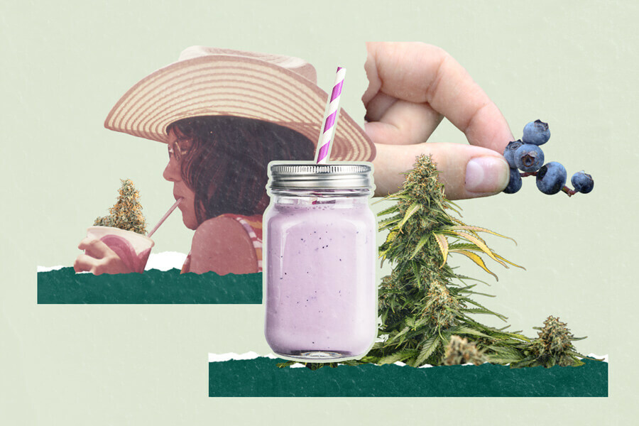 Batido de arándanos con marihuana: 3 originales recetas