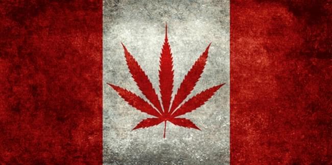 Canadá Será el Primer País del G7 en Legalizar la Marihuana