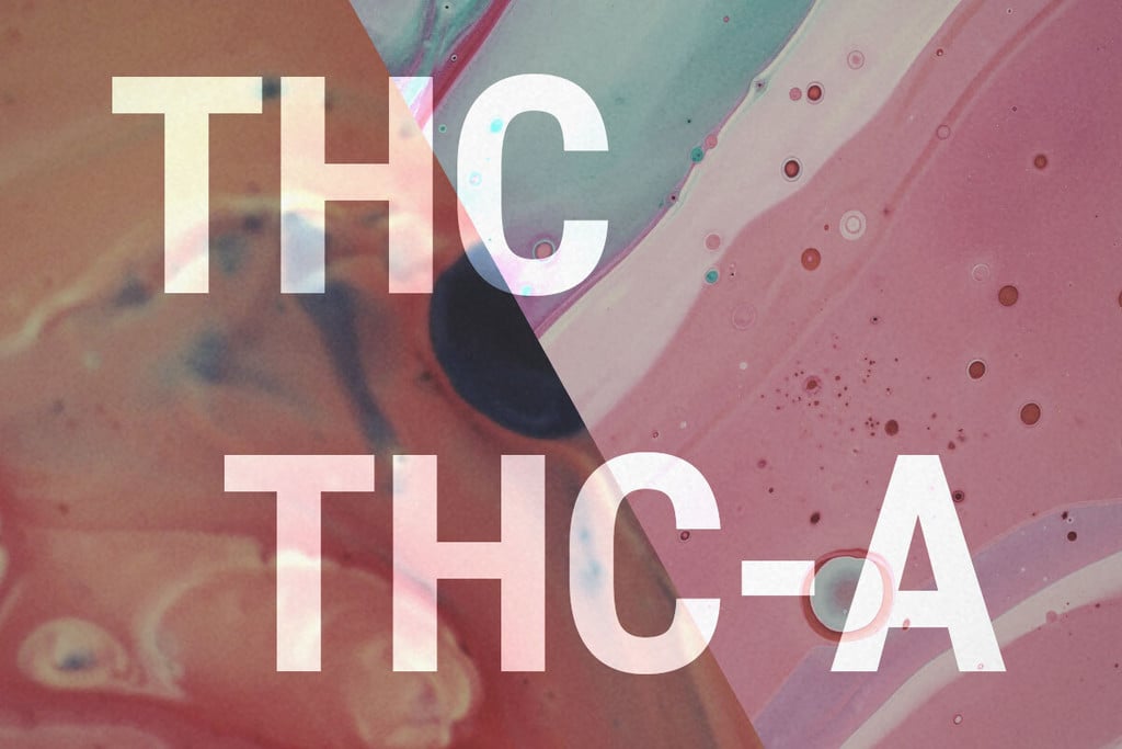 THCA y THC: ¿En Qué Se Diferencian?