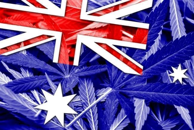 Australia Legaliza el Cultivo de Marihuana Medicinal