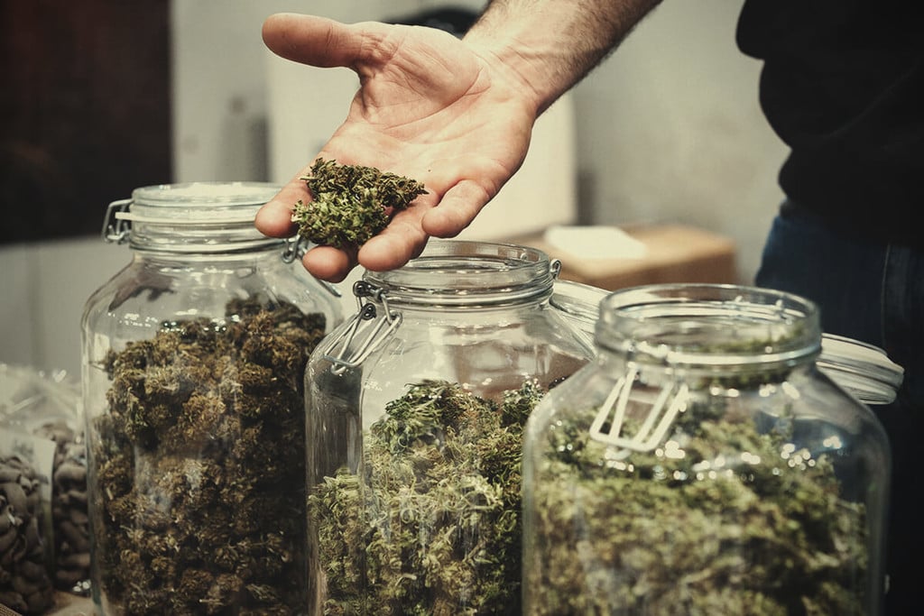 ¿Está fallando la regulación de las asociaciones de cannabis en España?