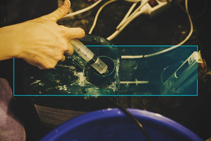 Fertilización de las plantas de marihuana: cómo, cuándo y por qué