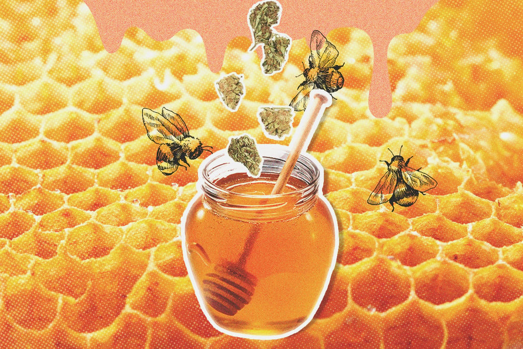 Cómo hacer una tintura de marihuana con miel en casa