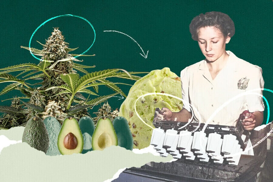 Receta: Helado de aguacate, chocolate y menta con marihuana