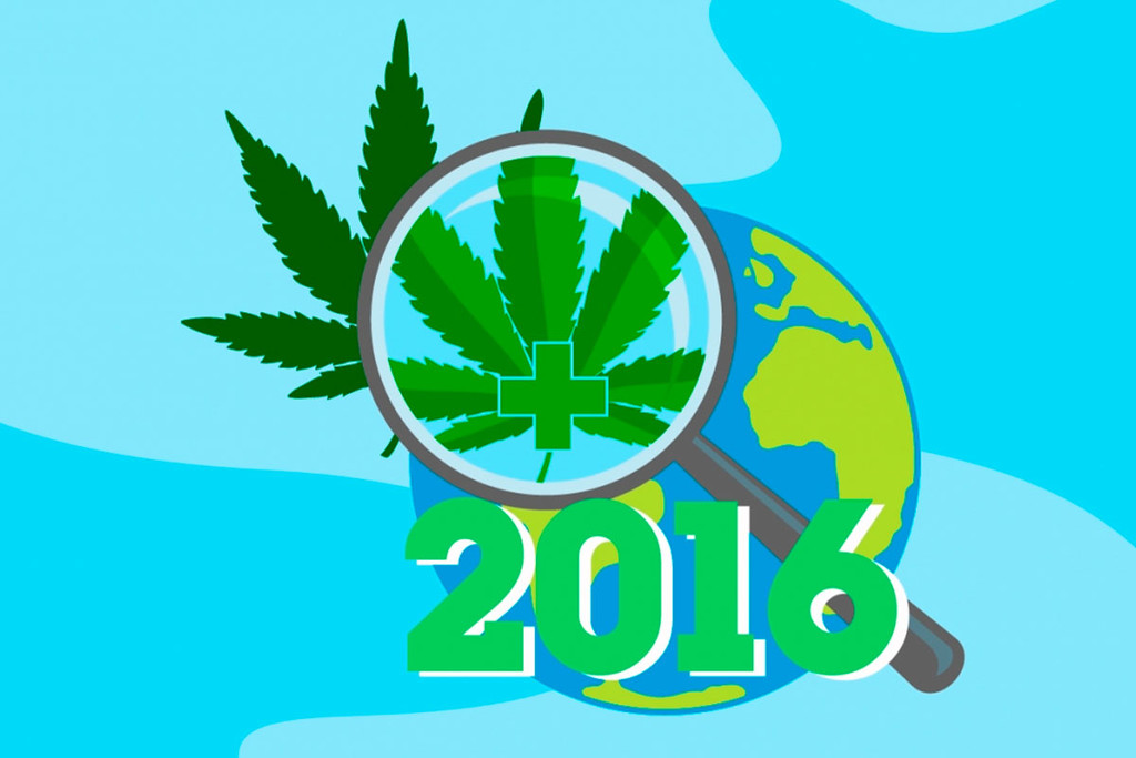 Resumen de los avances hacia la legalización del cannabis en 2016