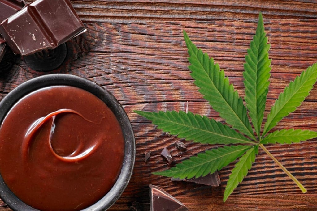Cómo hacer una crema de chocolate con marihuana en 4 sencillos pasos
