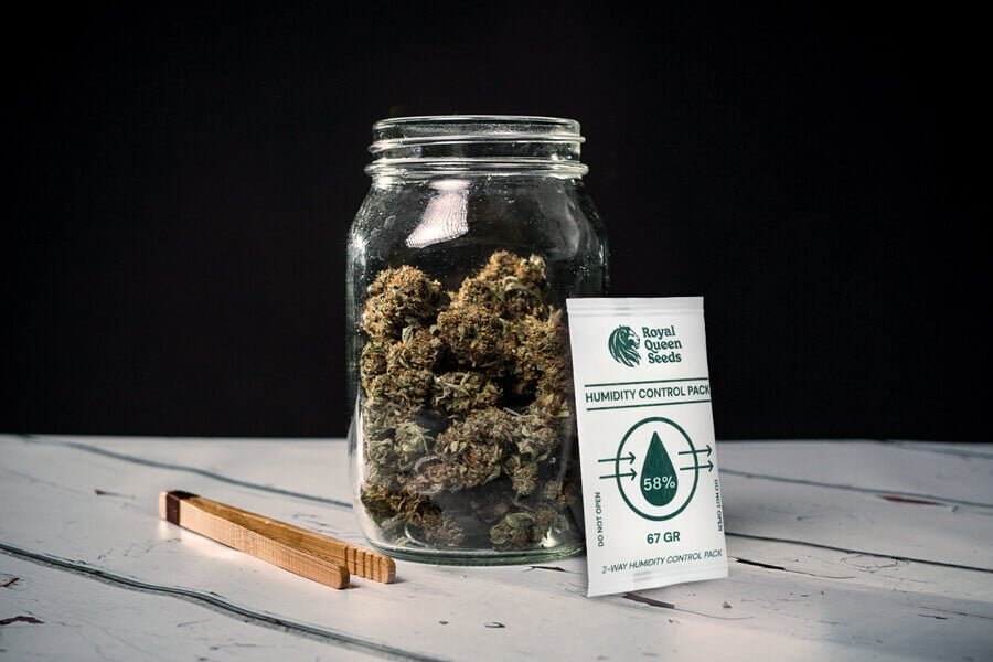 Cómo evitar el moho al secar y curar la marihuana