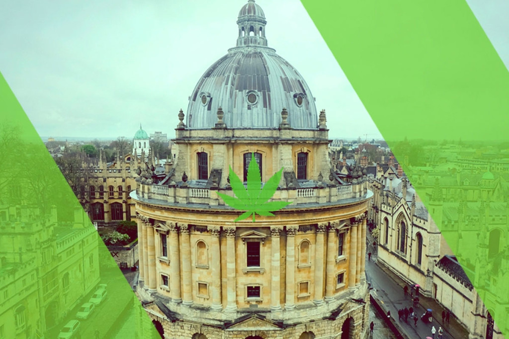 La Universidad de Oxford inicia una investigación clave sobre cannabis