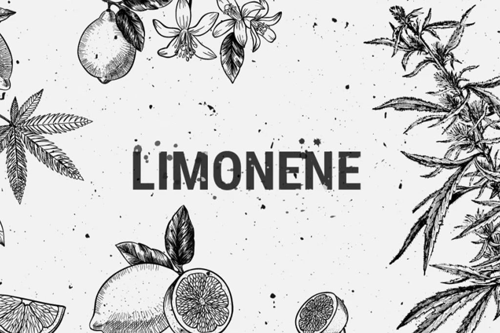 Limoneno: un terpeno medicinal, recreativo y delicioso