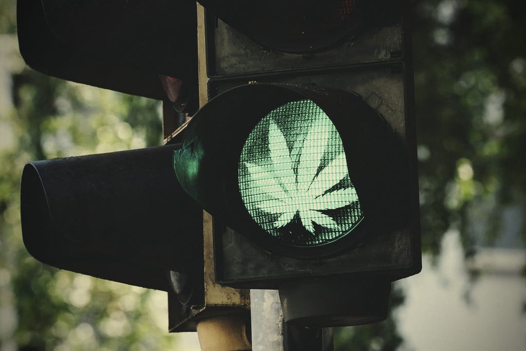 10 razones para que la marihuana sea legal en todo el mundo