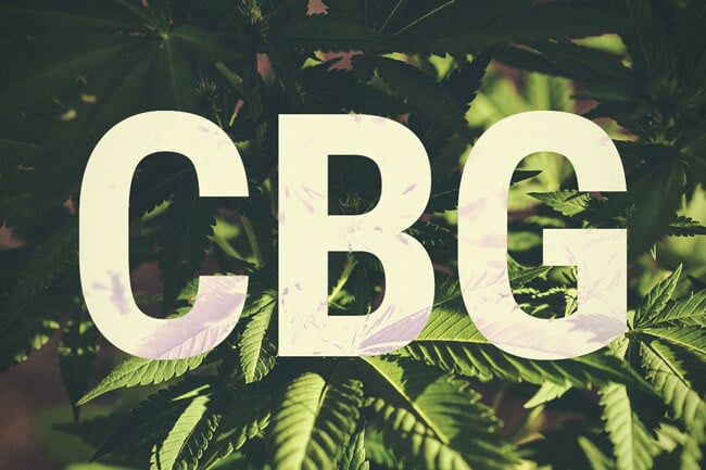 ¿Qué es el cannabigerol (CBG)?