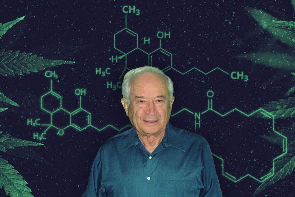 Dr. Mechoulam: homenaje al padre de la investigación del cannabis