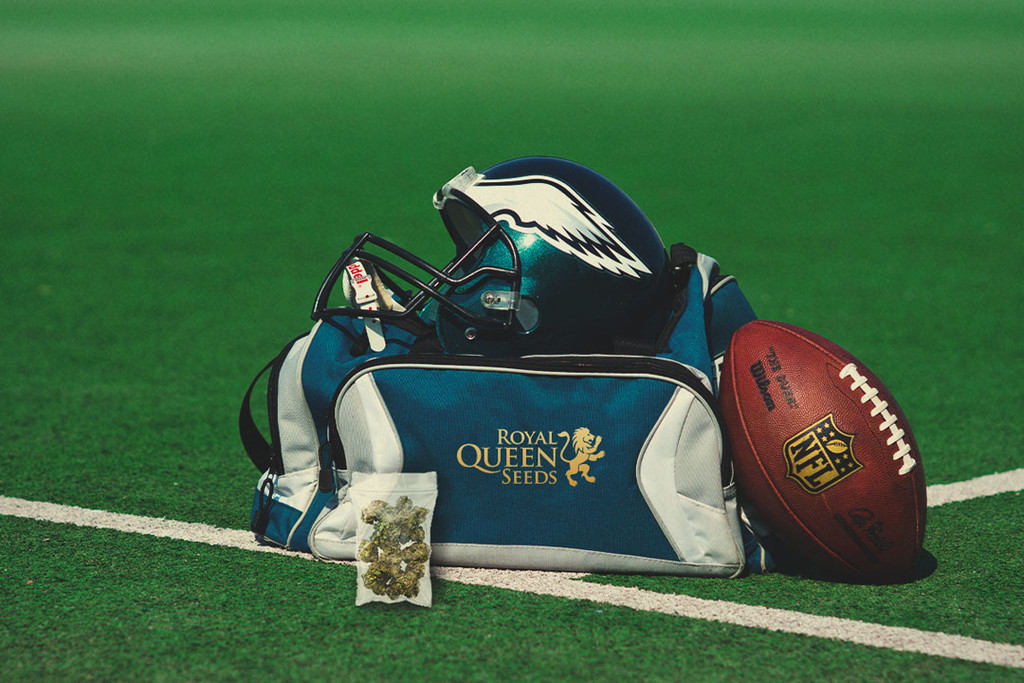 Cannabis medicinal en la NFL: investigación y beneficios para los jugadores