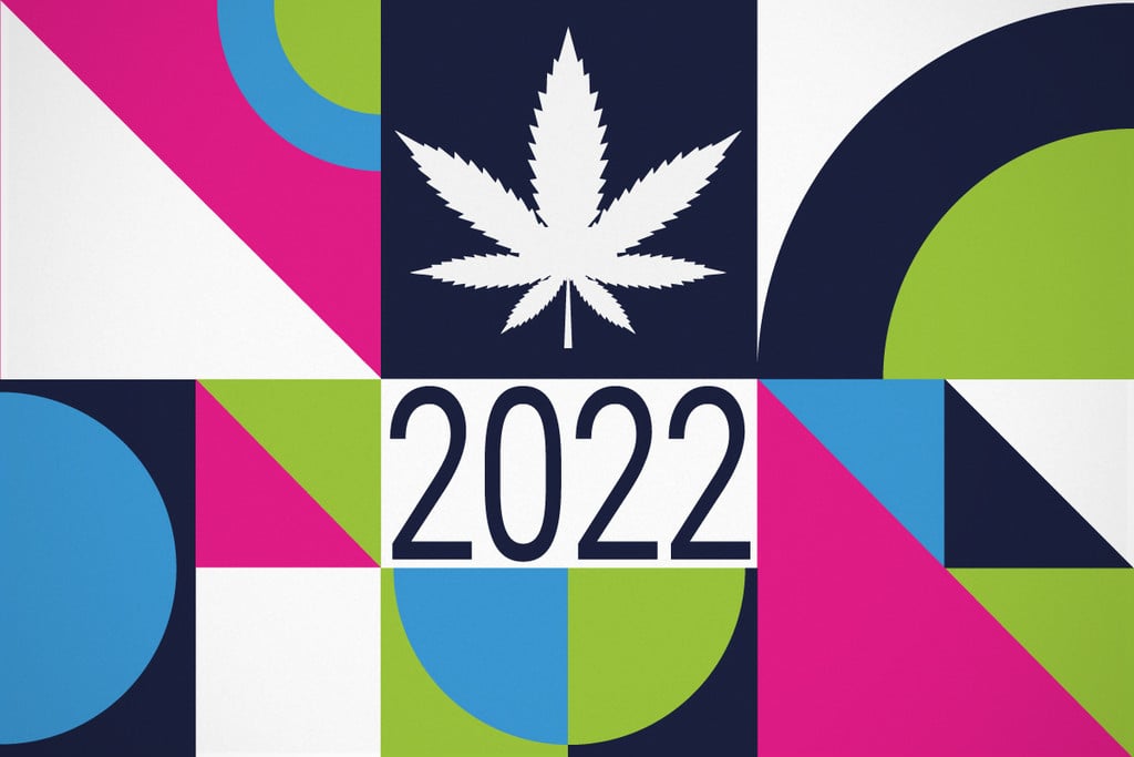 Informes europeos sobre drogas: Estadísticas de consumo de marihuana de 2022