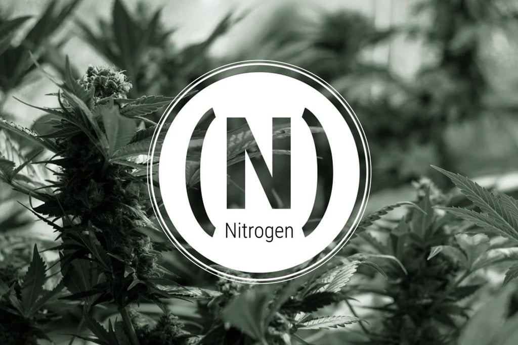 Deficiencia de nitrógeno en el cannabis: síntomas y soluciones