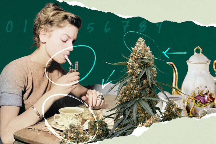 Cómo preparar té de marihuana
