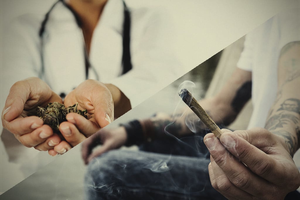 Marihuana medicinal vs recreativa: ¿en qué se diferencian?