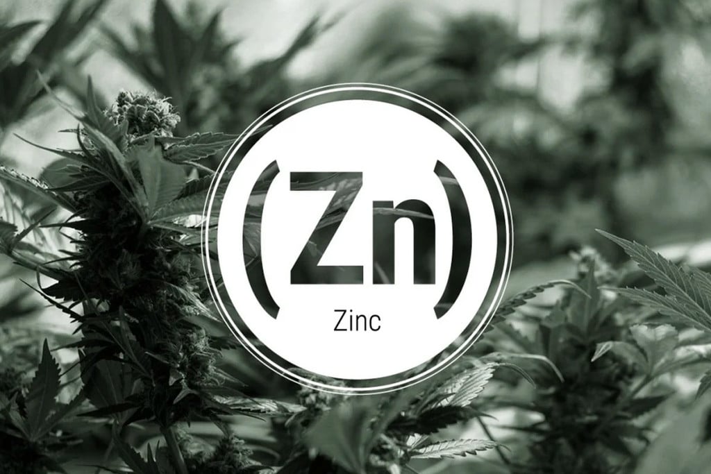 Deficiencia de zinc en plantas de marihuana