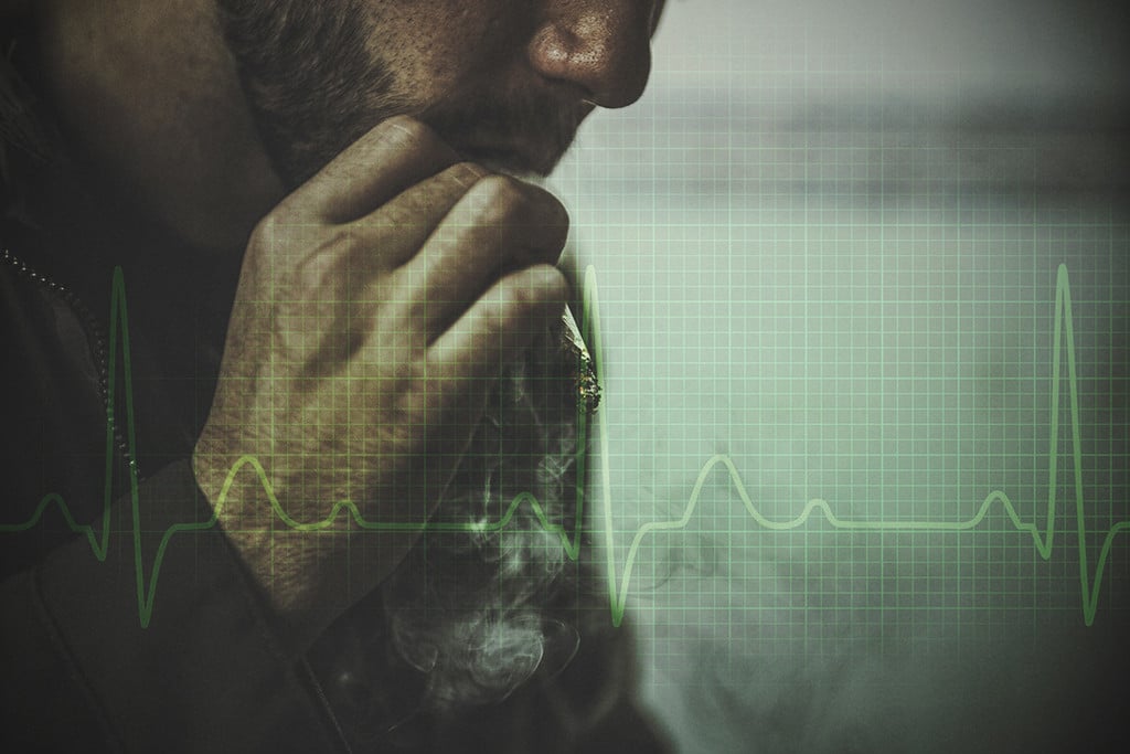 ¿Cómo afectan la marihuana, el CBD y el THC a la hipertensión?