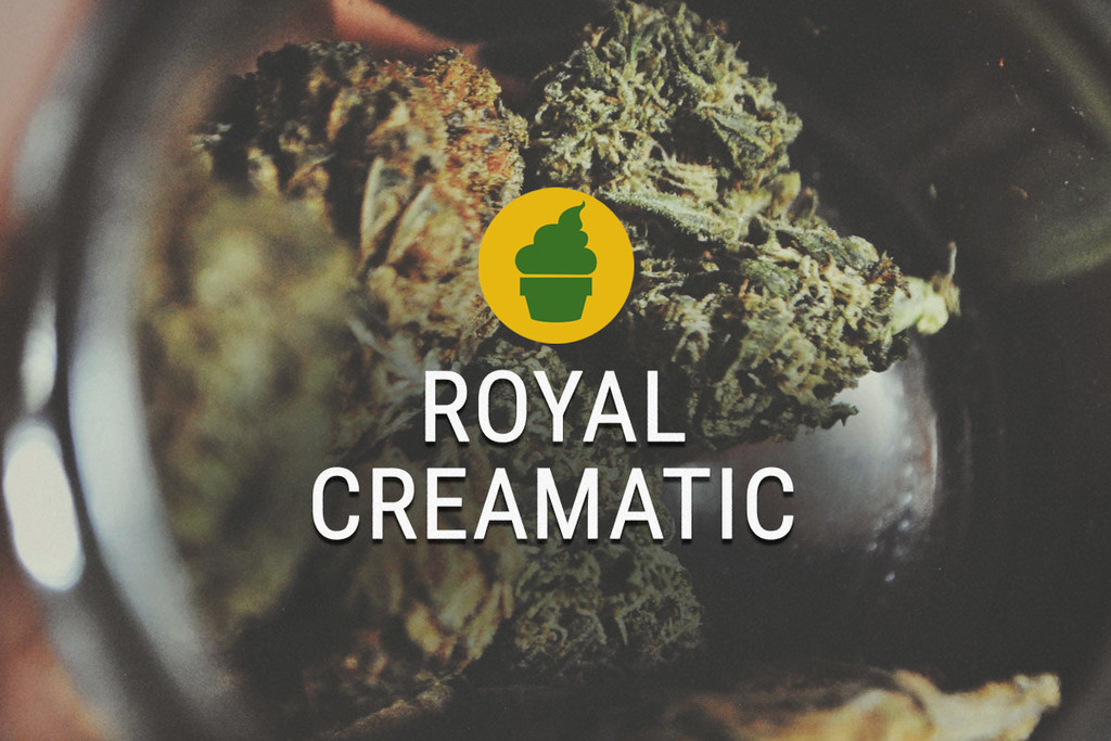 Royal Creamatic: Smoke Report