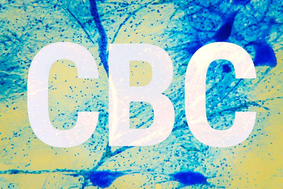 El cannabicromeno (CBC): el tercer cannabinoide más abundante