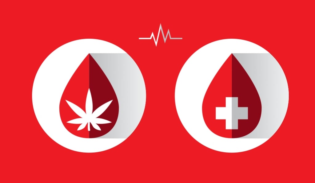 Donar sangre si eres consumidor de cannabis
