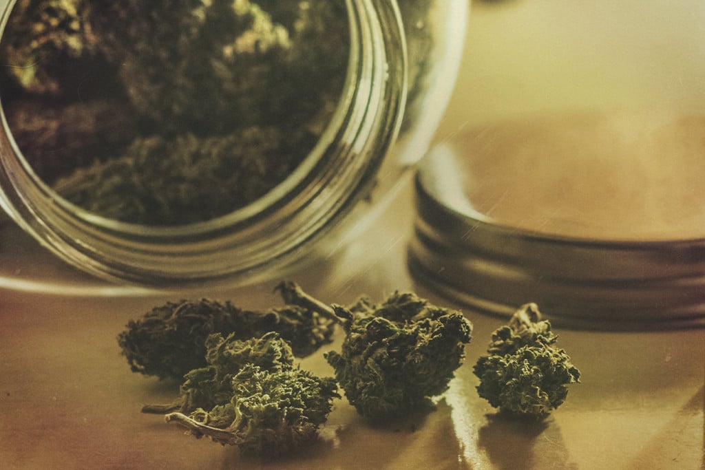Cómo almacenar la marihuana a largo plazo y conservar su frescura - RQS Blog