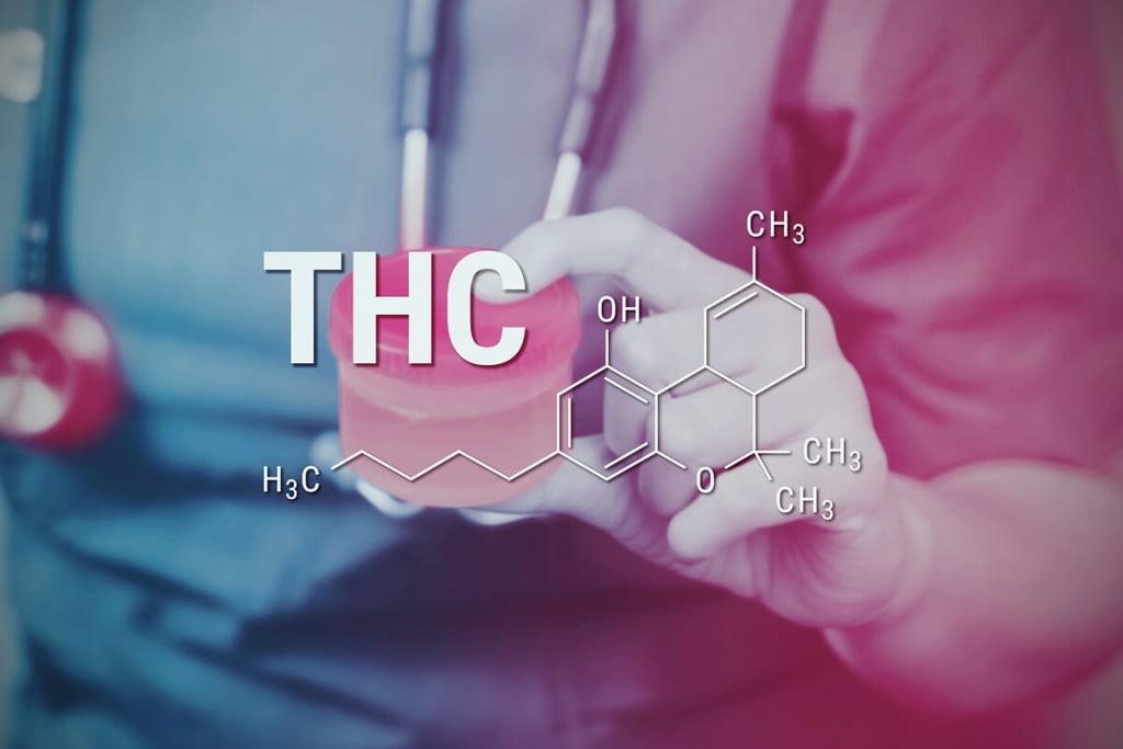 Cómo eliminar el THC de tu organismo: una guía completa