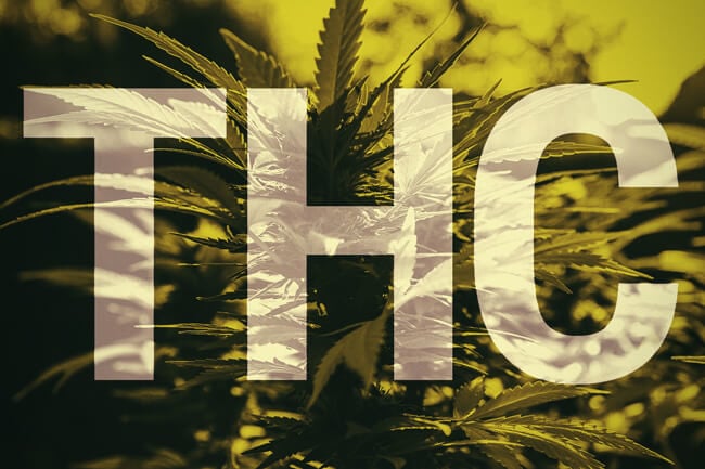 ¿Qué es el THC?