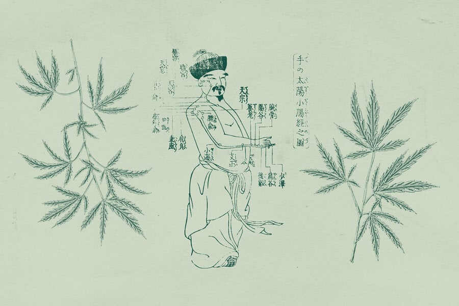 El uso del cannabis en la medicina tradicional china