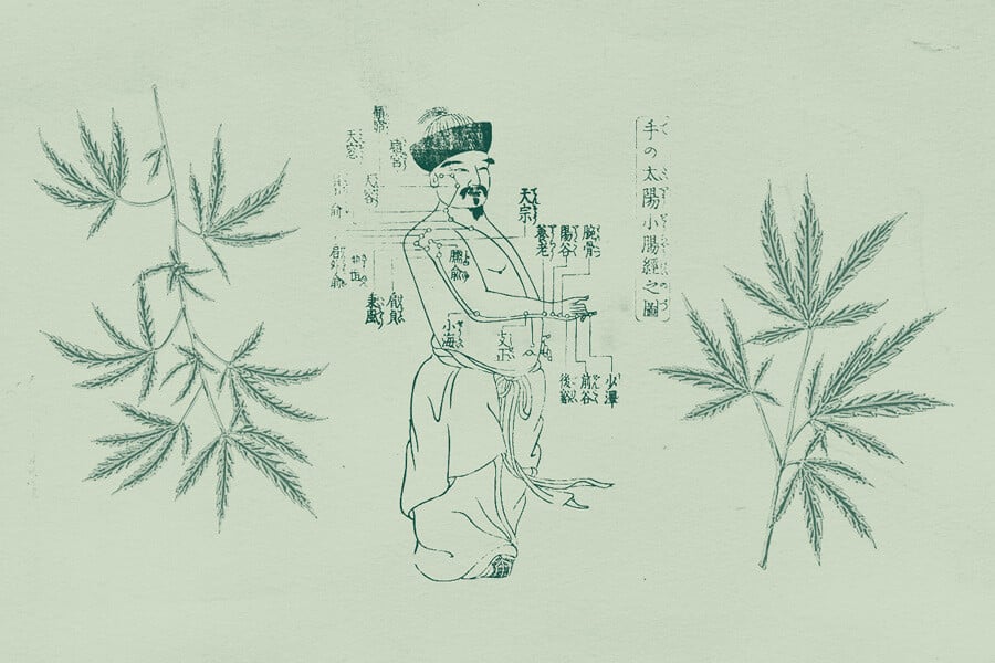 Uso de la marihuana en la medicina tradicional china