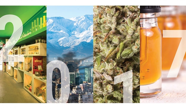 2017, un año clave para el cannabis