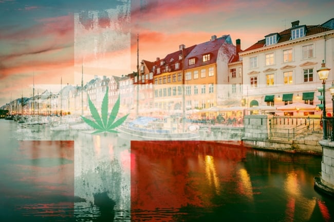 Dinamarca autoriza un ensayo con marihuana para fines medicinales