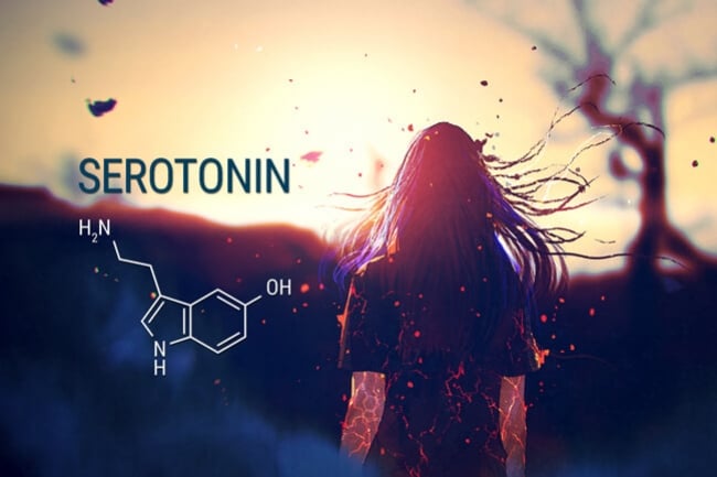 CBD, serotonina y ansiedad 