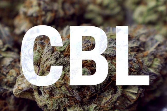 Cannabiciclol: conceptos básicos sobre cannabinoides