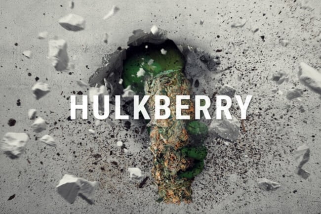 HulkBerry: la Kush con personalidad sativa