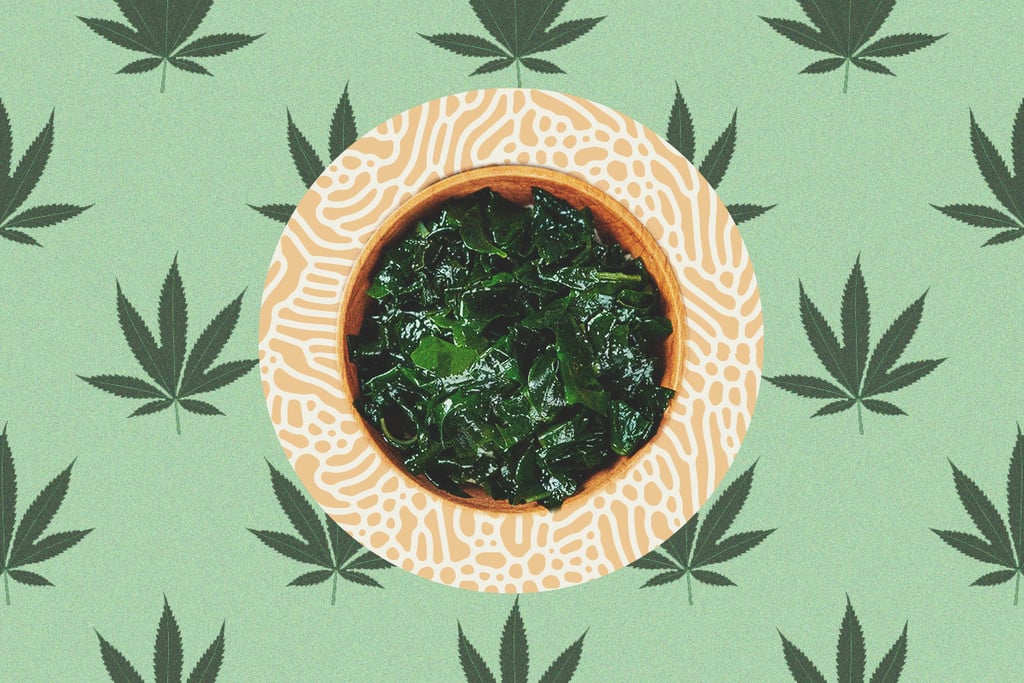 Por qué las algas son un superalimento para las plantas de marihuana