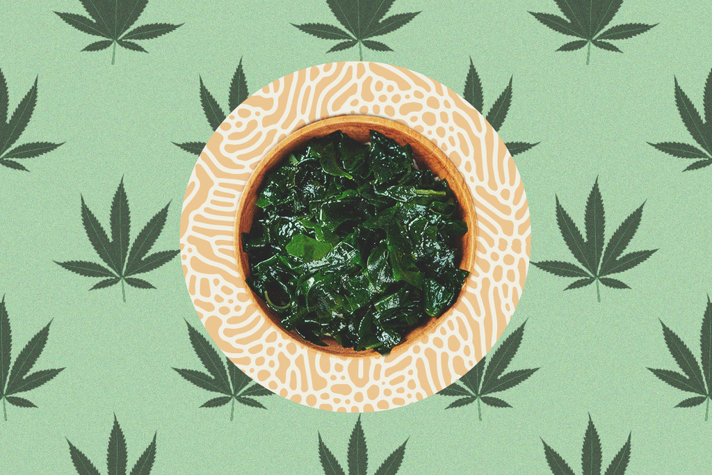 Por qué las algas son un superalimento para las plantas de marihuana