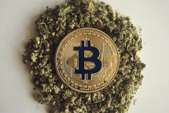 La importancia de las criptomonedas en el sector de la marihuana