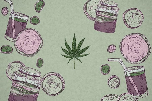 Kombucha de marihuana: qué es y cómo se hace