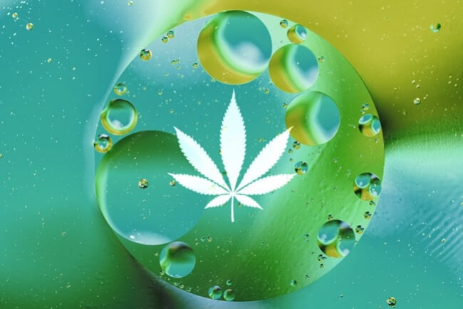 Oxígeno disuelto: clave para unas plantas de marihuana sanas y enormes