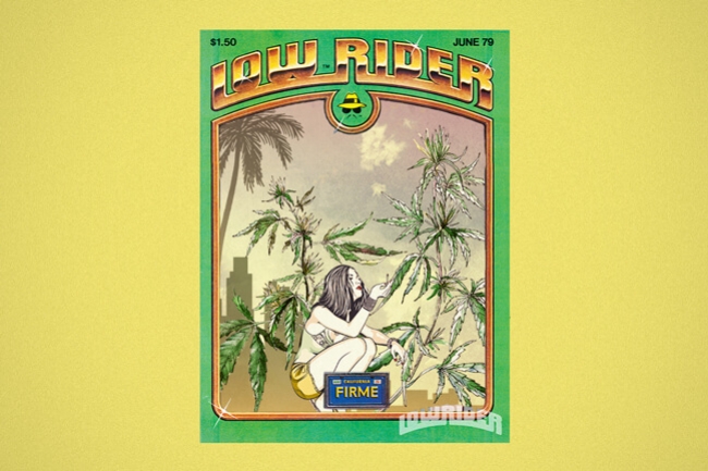Lowryder: la primera marihuana realmente autofloreciente