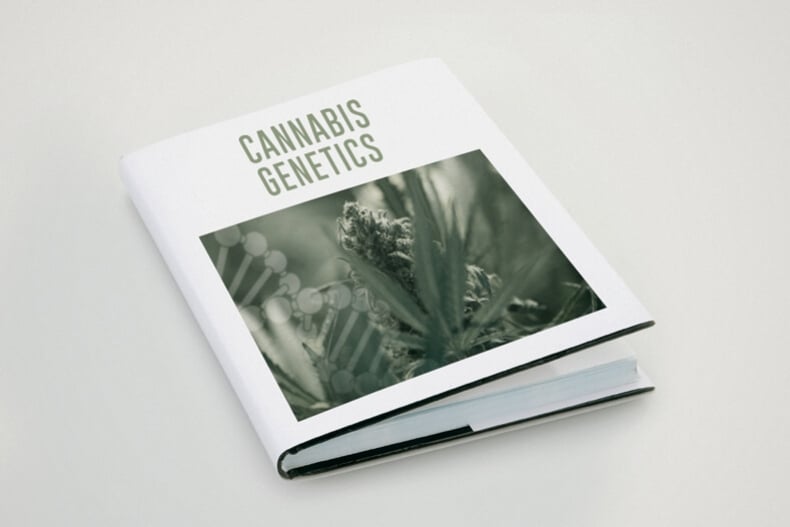 Terminología de la genética de la marihuana