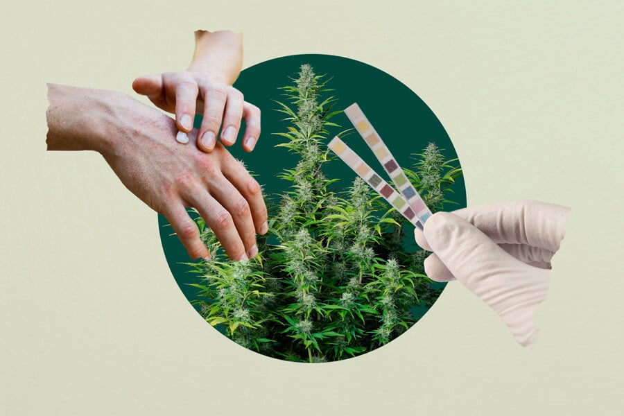 ¿Los productos tópicos de cannabis dan positivo en un control de drogas?