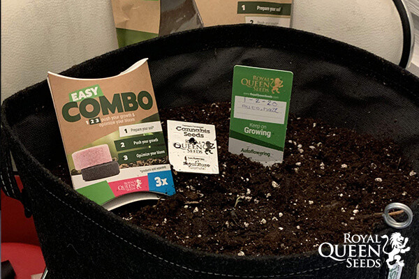 Easy Combo Mix Potenciación