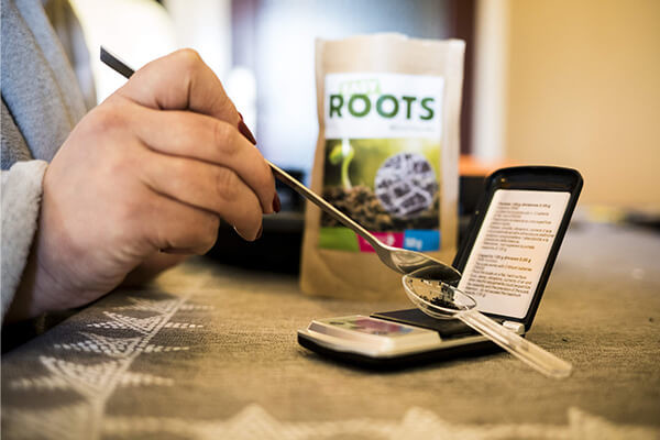 Easy Roots - Mezcla de micorrizas